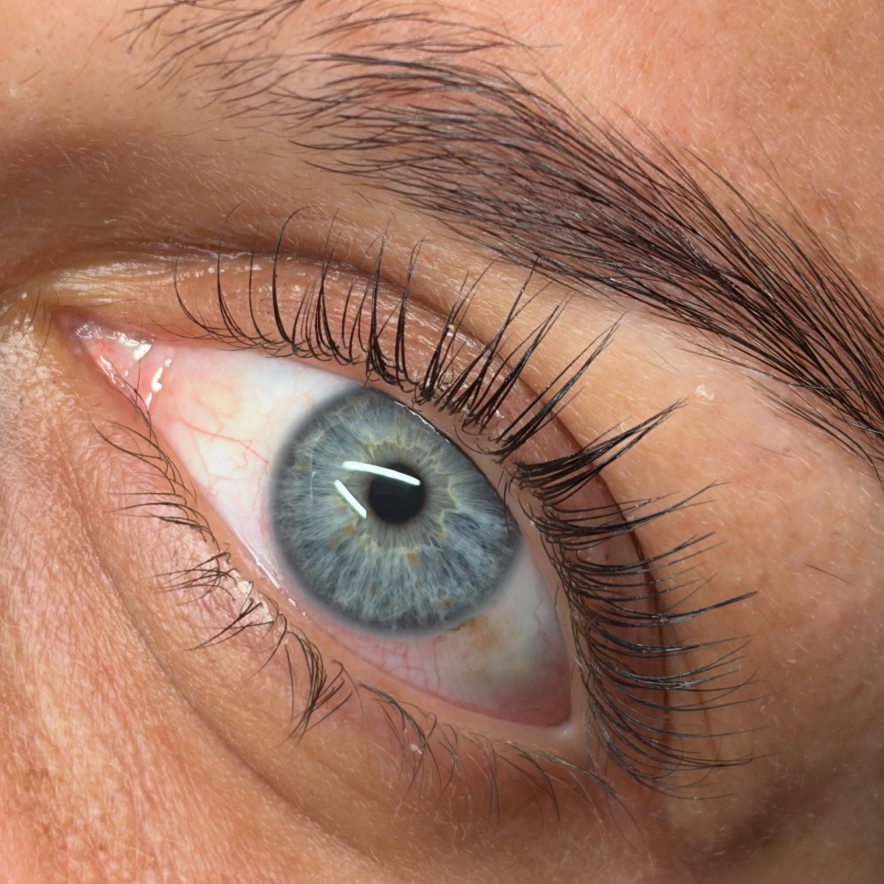 Regard sublimé